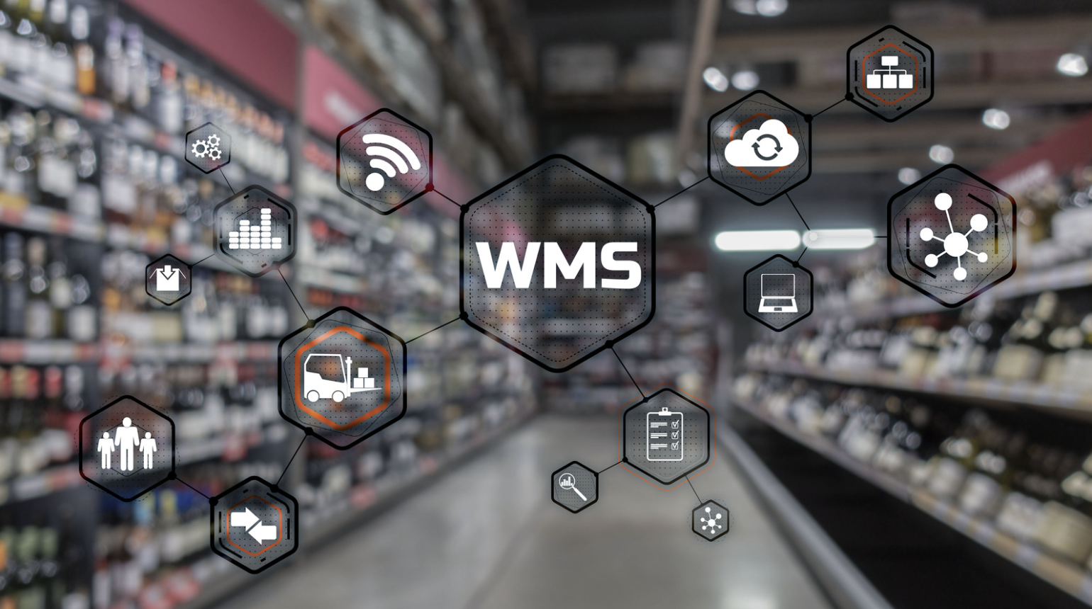 WMS system, WMS